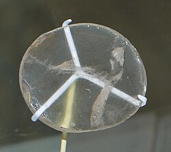 Optics cover