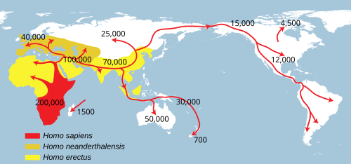 Human history cover